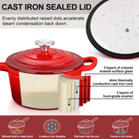 Cocotte ovale en fonte émaillée de 4,5 L pour camping, idéale pour ragoûts de fruits de mer, compatible four