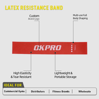 OKPRO - Juego de Bandas de Resistencia Elásticas de Látex para Ejercicio, Diferentes Tamaños, Bandas de Goma para Entrenamiento
