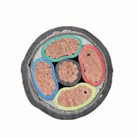 Cable de Alimentación Premium VV22 con Conductor de Cobre Blindado con Cinta de Acero, Revestimiento de PVC, Clasificación IP68, 0.6/1kV para Entierro Directo y Cableado Industrial