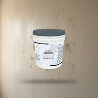 Peinture de base acrylique polymère à base d'eau, anti-humidité, anti-moisissure, scellant, sous-couche protectrice résistante à l'humidité pour murs intérieurs humides