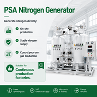 Generador de Nitrógeno PSA de Rendimiento Industrial Estable para Sistemas de Protección Contra Explosiones en Tanques de Almacenamiento de Solventes