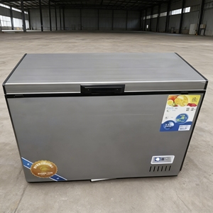 Congélateur coffre électrique à porte unique H 302L, grande capacité, ouverture par le haut, horizontal, pour usage domestique et commercial - Product Image 6