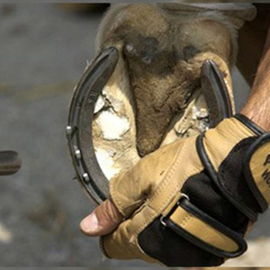 Clous <span class=keywords><strong>de</strong></span> fer à <span class=keywords><strong>cheval</strong></span> pour courses équestres, équipement spécifique pour chevaux <span class=keywords><strong>de</strong></span> <span class=keywords><strong>course</strong></span> en acier inoxydable pour l'entretien des sabots - Product Image 3