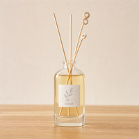 Bouteille en verre vide personnalisée pour diffuseur à bâtonnets, forme unique, 100ml 150ml 200ml, dégradé givré, logo personnalisé pour emballage de parfum