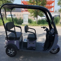 Scooter ecológico de tres ruedas de baja velocidad New Energy-Ideal para paseos cortos en la Comunidad
