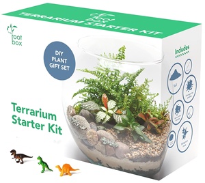 Kit de terrarium en verre parfumé diverses plantes racine moyenne boîte-cadeau encourageant la créativité scientifique pour les enfants adultes utilisation suspendue - Product Image 1