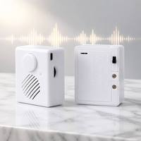Modul Suara USB yang Dapat Diprogram untuk Boneka, Kemasan Insert, Komponen Pemutar Audio Kustom, Grosir
