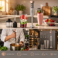 Mixeur Plongeant 4-en-1 en Acier Inoxydable 400W 2 Vitesses avec Fouet Double, Hachoir, Bol et Lame SS304 Certifiée VDE pour Cuisine