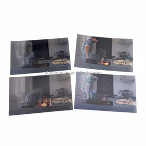 Autocollants lenticulaires de haute qualité, autocollants lenticulaires 3D avec des effets vifs, impression lenticulaire 3D - Product Image 1