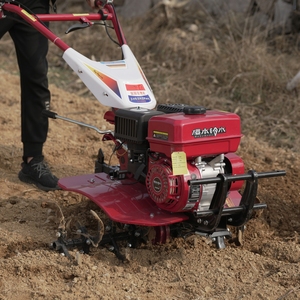 เครื่องยนต์เบนซิน 6 แรงม้า 170F กำลังการผลิตสูง เครื่องพรวนดินแบบเดินตาม สำหรับการเพาะปลูกดินและพื้นที่เพาะปลูก ประสิทธิภาพสูง 170 แก๊สโซลีน - Product Image 5