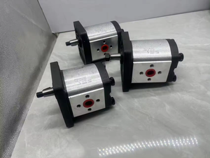 ผู้ผลิตปั๊มเกียร์ไฮดรอลิก รุ่น GP1 <span class=keywords><strong>GP2</strong></span> GP3 ซีรีส์ GP3-0264 R97F/20N ปั๊มเกียร์ไฮดรอลิก - Product Image 5