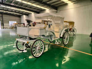 Veicolo Elettrico per Giro Turistico, Carrozza a Bassa Velocità Senza Cavalli per Trasporto Passeggeri / Carrozza a Cavalli Omologata CE - Product Image 2