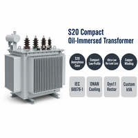 Transformateur à huile en alliage amorphe Wanbo-511 S20, compact, à profil bas, enroulement en cuivre, 10 kV, ONAN Dyn11, kVA personnalisé