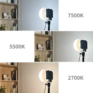 Luce della macchina fotografica 100w di Mini illuminazione video in diretta