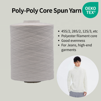 High Tenacity Poly Poly Core Spun Yarn 45S/2 28S/2 12S/3 100% Polyester Sewing Thread for Denim, Workwear & Jeans