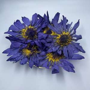 Yeni hasat mavi Lotus çiçek Lan Lian Hua bütün çiçek çay ve dekorasyon için - Product Image 1