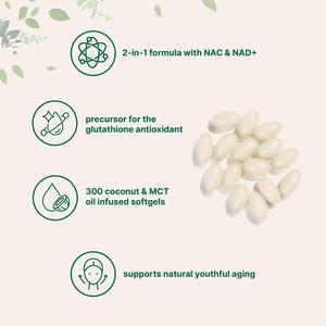 <span class=keywords><strong>NAC</strong></span> avec NAD+ en gélules molles 600mg, enrichi en huile MCT, <span class=keywords><strong>300</strong></span> unités - Product Image 3