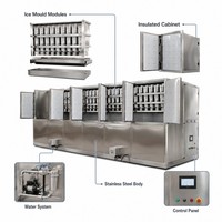 Machine de production de glaçons 3000 kg, 2 tonnes, 2t, 3, 10, 20, 40, 100 tonnes, 30 tonnes pour la consommation humaine