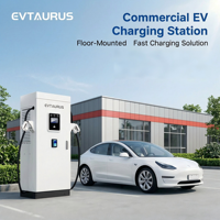 Cargador de coche eléctrico comercial NUEVO CCS1 GBT Chadeno NACS Tesla para exteriores, estación de carga rápida EVSE para EE. UU. y UE, con pantalla táctil de 7 pulgadas