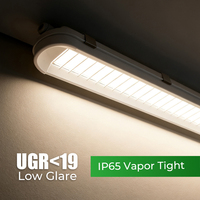 Lumière étanche à la vapeur LED à faible indice UGR 0,6 m 1,2 m 1,5 m Triproof 30W 40W 60W CCT modifiable IP65 140 lm/w