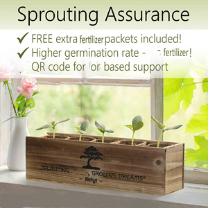 Kit de bonsaï miniature en érable, cadeau, cultivez votre propre arbre, kit de démarrage Lego Wire Kuromatsu Garden Republic <span class=keywords><strong>Bonsai</strong></span> - Product Image 3