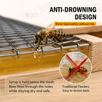 Nourrisseur d'abeilles en bois anti-noyade pour ruche Langstroth, pour sirop et plaques de pollen