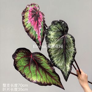 ใบเบโกเนียประดิษฐ์ Secret Garden ทำจาก EVA มี 17 สี สำหรับตกแต่งงานแต่งงานและจัดดอกไม้ - Product Image 4