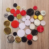 Tapas Metálicas de Hojalata sin BPA de 58mm, 63mm, 70mm, 82mm con Rosca y Cierre Giratorio para Tarros de Conservas