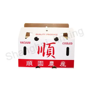 Tùy chỉnh thiết kế tái chế sóng hộp carton thực phẩm trái cây tươi bắp cải xuất khẩu đóng gói sóng Made in China sáp hộp