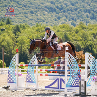 Courses équine de qualité supérieure, forme et taille personnalisées, produits de courses pour cheval, saut, offre spéciale