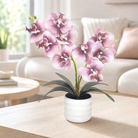 Susunan Pot Bunga Phalaenopsis Gaya Segar Model China 8.19.2 Dekorasi Bunga untuk Ruang Tamu, Kantor, Meja, dan Pemotretan