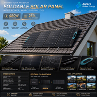 Module solaire pliable léger à haut rendement de conversion pour applications d'énergie solaire portables