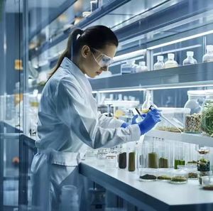 Crema a Base di Estratti Erboristici per la Perdita di Peso, Prodotti per la Salute con Ingredienti Naturali Boul Gres - Product Image 4