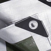 Bâche en PE enduit 150g/m² 8x12m 6x8m, robuste, écologique, coupe-vent et imperméable pour usage extérieur / Bâche chinoise