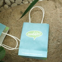 Tas Belanja Kertas Cetak Kustom Grosir, Kemasan Mewah untuk Hadiah, Cocok untuk Branding Retail