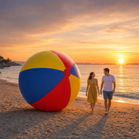 Ballon de plage gonflable géant en PVC personnalisé pour le volley-ball de plage, les fêtes, les jeux en plein air et les événements