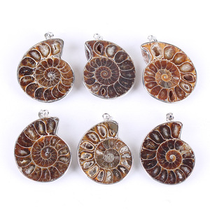 Colgante llano de cristal de piedra Natural multicolor de gemas DIY con fósil de caracol dorado para suéter collar de rocas crudas de piedras preciosas - Product Image 2