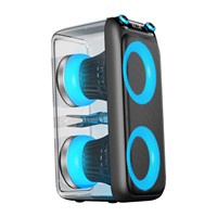 Écran en plastique transparent de 65 pouces avec rétroéclairage RVB, double microphone U-Band, 60W haute puissance, alimentation USB pour télécommande