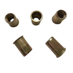 Trung Quốc Nhà Máy Trực Tiếp M3-M12 Ngành Công Nghiệp Sử Dụng Nhỏ Chìm Có <span class=keywords><strong>Knurled</strong></span> Đinh Tán Các Loại Hạt Với Kẽm Mạ Thép - Product Image 1