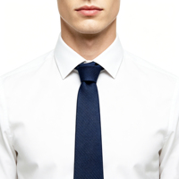Cravate en Soie Unie de Luxe, Élégante et Intemporelle, pour Homme, Idéale pour Cérémonies, Mariages, Affaires et Fêtes, Cadeau Unique