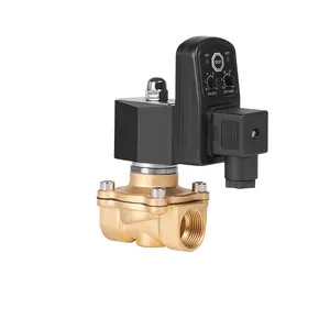 AC220V DC24V 1/2" 3/4" inch Electric Timer Auto Water Valve Electronic Drain Solenoid Valve for Air Compressor Condensate