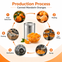 Jeruk Mandarin Kaleng Label Kustom 850g dalam Sirup Ringan Segmen Utuh untuk Ritel Pemasok Label Pribadi Ukuran Kustom