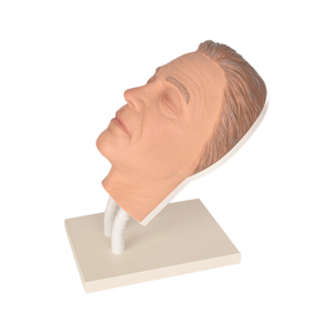 Tête de mannequin Mannequin d'injection faciale Simulateur de tête de mannequin en silicone Modèle de visage masculin pour la formation - Product Image 5