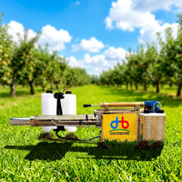 Machine de désinfection thermique en laiton écologique - Pulvérisateur portable