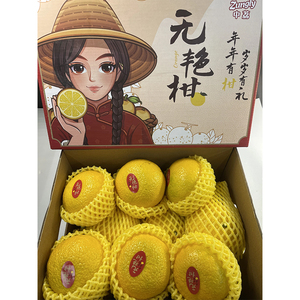 Quotidien <span class=keywords><strong>Vitamin</strong></span> Boost Agrumes Frais Wuyan Mandarine Orange Aigre Doux Saveur Certifié G.A.P 8cm - Product Image 2