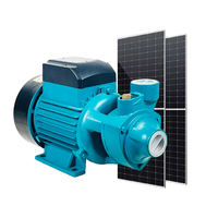 Solaire Pompe permukaan 12V 24V Qb Series Solar domestik otomatis Booster tekanan permukaan pompa air untuk irigasi