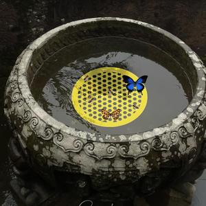 Yellow PP <b>Floating</b> Bee & Butterfly Waterer New Outdoor Garden Decor for Feeding & Bathing Pomelo Brand 1 Year Warranty - Product Image 3