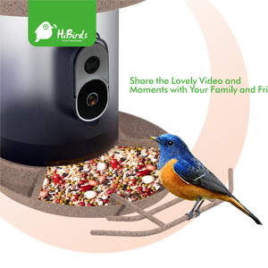 Caméra de mangeoire à <span class=keywords><strong>oiseaux</strong></span> HiBirds 4K UHD 1080p Reconnaissance intelligente Photographie d'<span class=keywords><strong>oiseaux</strong></span> Vidéo <span class=keywords><strong>Application</strong></span> Alimenté par énergie solaire IP65 Étanche 5200mAh - Product Image 4