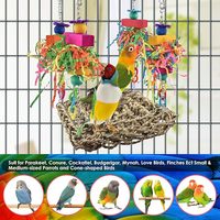 Oiseau herbe balançoire tapis perroquet escalade hamac avec jouets colorés pour perruche calopsitte soleil Conure inséparable perruche petits oiseaux