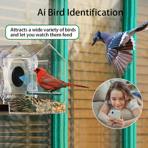 Ai nhận dạng chim thông minh chim trung chuyển máy ảnh với hai chiều liên lạc bằng giọng nói 4MP HD tầm nhìn ban đêm CMOS cảm biến Wifi cửa sổ máy ảnh - Product Image 4